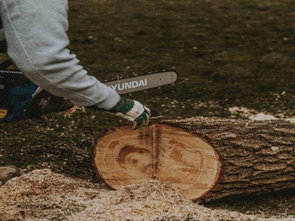 Chainsaw cutting log — Series E narrow-kerf chains for battery and cordless saws, reduced power draw and extended runtime